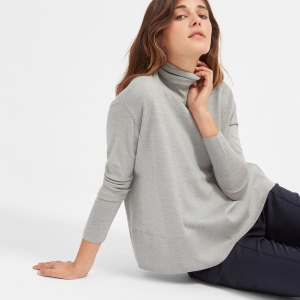 Everlane Luxe Wool Turtleneck
